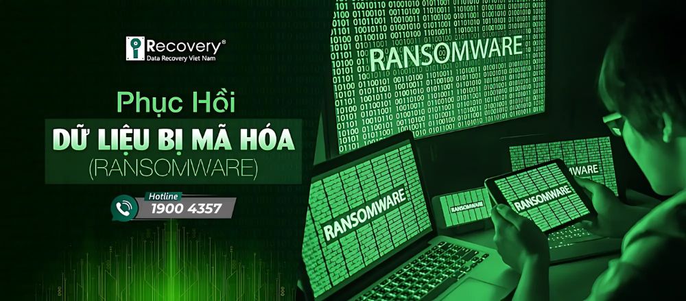 dịch vụ khôi phục dữ liệu bị mã hóa