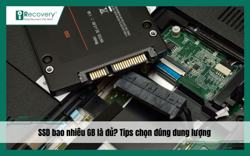 SSD bao nhiêu GB là đủ? Kinh nghiệm chọn dung lượng ổ cứng
