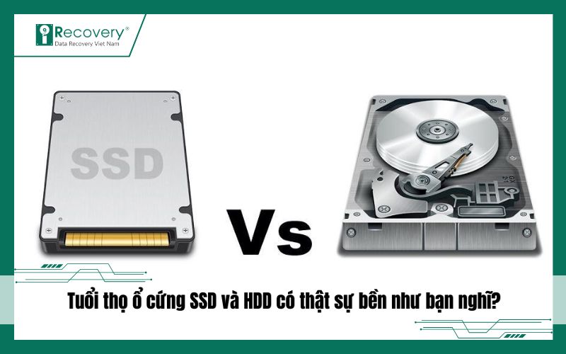 Tuổi thọ ổ cứng SSD và HDD: Bao lâu nên thay để tránh mất dữ liệu?