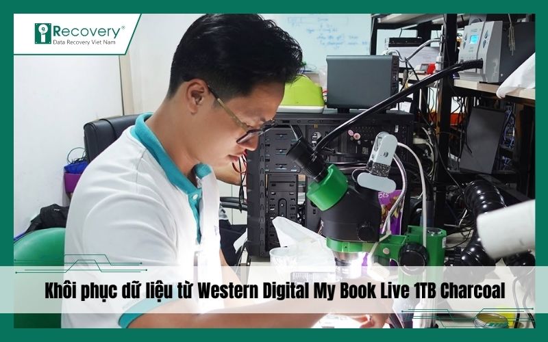 Khôi phục toàn bộ dữ liệu từ Western Digital My Book Live 1TB Charcoal