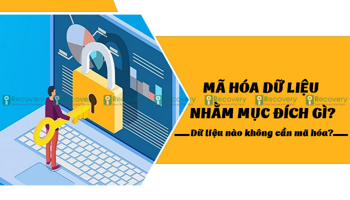 Mã hóa dữ liệu nhằm mục đích gì? Dữ liệu nào không cần mã hóa?